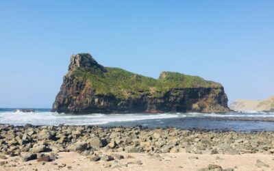 Regaining self-trust after falling on your face